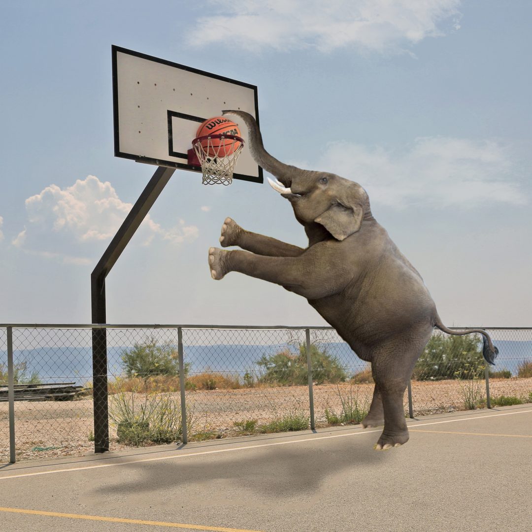 RISE Basketball バスケットボール